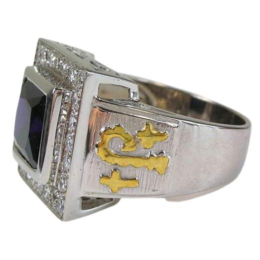 Princess Amethyst Silver Bishop Ring